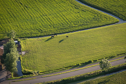 Ballonflecht juni 2024