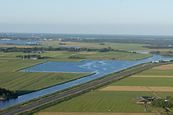 Ballonflecht juni 2024
