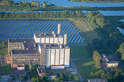 Ballonflecht juni 2024