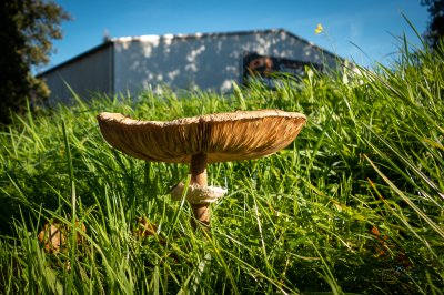 Herfst in de Fryske-Walden 2026 - foto 20