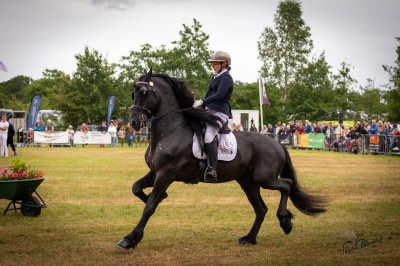 Hynstedagen Sumarreheide 2026 - foto 2