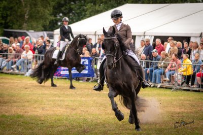 Hynstedagen Sumarreheide 2026 - foto 3