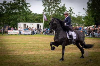 Hynstedagen Sumarreheide 2026 - foto 4