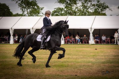 Hynstedagen Sumarreheide 2026 - foto 6