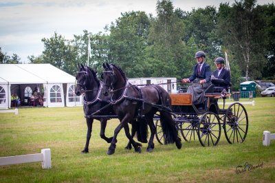 Hynstedagen Sumarreheide 2026 - foto 29