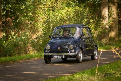 Fiat 500 Fryske Wâldenrit 2024 - foto 7