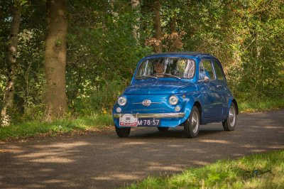 Fiat 500 Fryske Wâldenrit 2024 - foto 8
