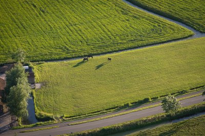 Ballonflecht oer Burgum - foto 12