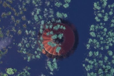Ballonflecht oer Burgum - foto 36